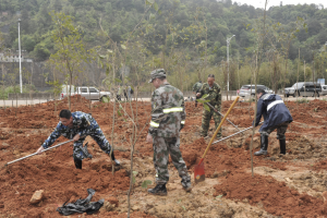 陽(yáng)春三月雨，正是植樹好時(shí)節(jié)