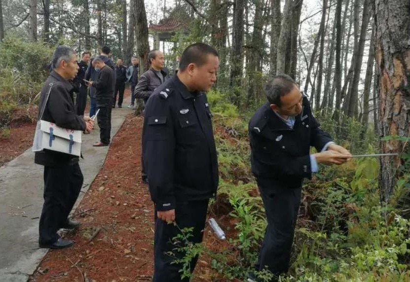 金森公司開展森林病蟲害防治培訓 金森公司開展森林病蟲害防治培訓