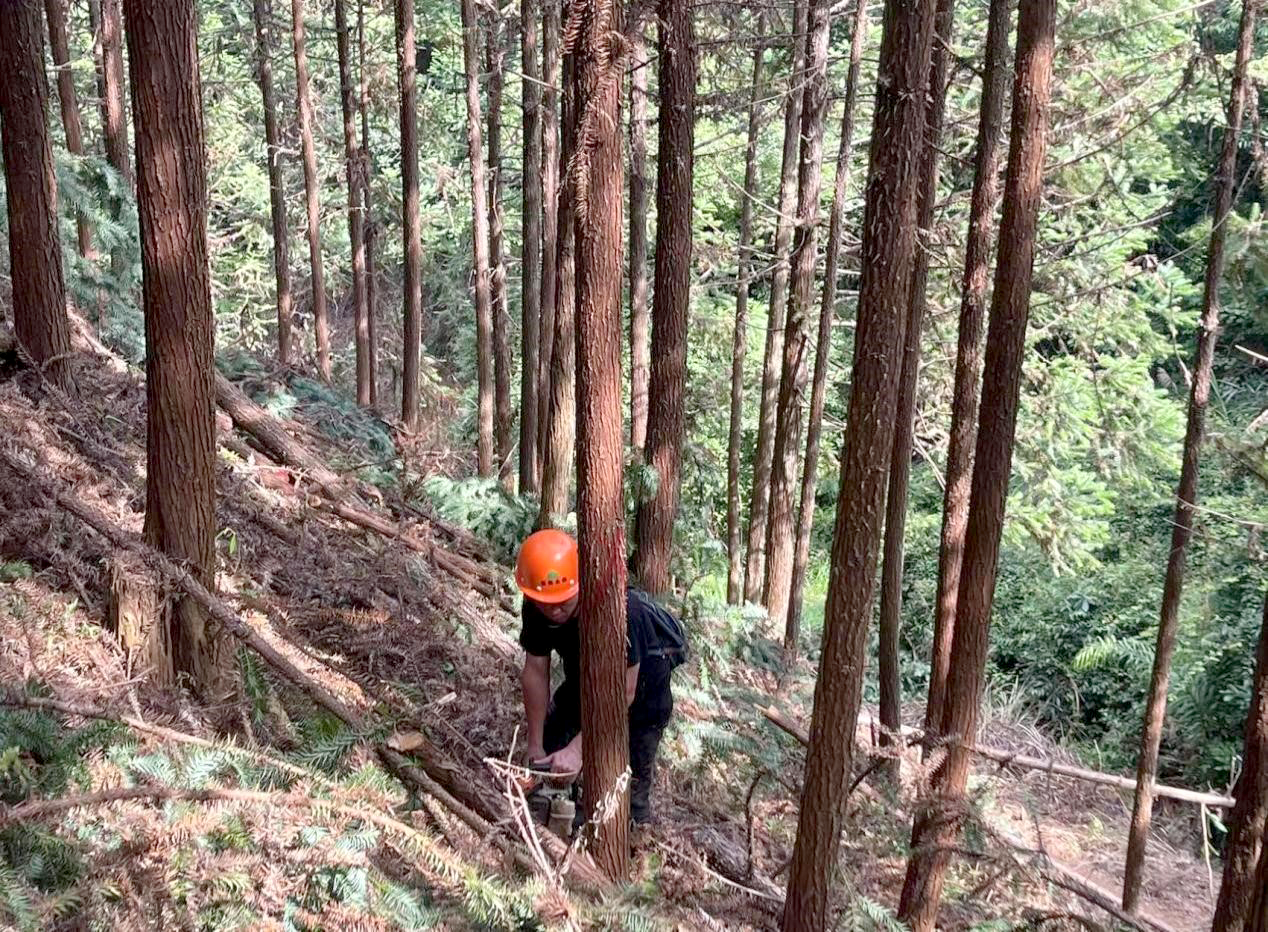 1688638575175825.png 1688638575175825.png